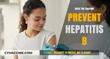 Does the Hepatitis B Vaccine Provide Effective Prevention?