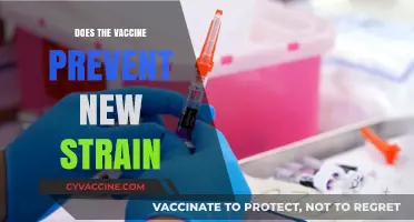 Vaccine Efficacy Against New Strains: What You Need to Know