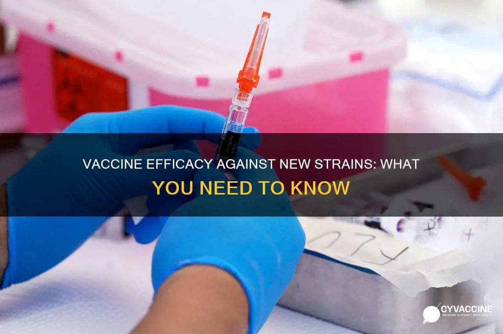 does the vaccine prevent new strain