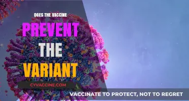Vaccine Efficacy Against New Variants: What You Need to Know