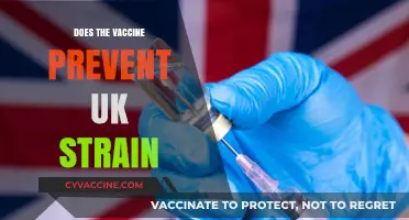 Does the COVID-19 Vaccine Protect Against the UK Strain?