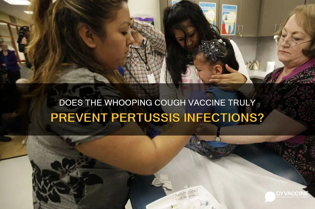 does the vaccine prevent whooping cough