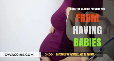 Vaccines: Do They Affect Fertility and Having Babies?