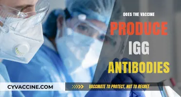 Does the Vaccine Produce IgG Antibodies? Understanding Immune Response