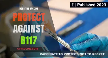 Vaccine Efficacy Against B117: What You Need to Know