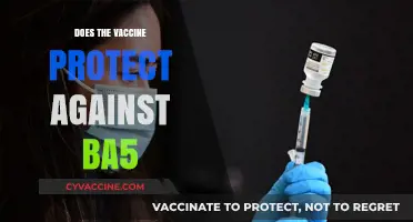 Does the COVID-19 Vaccine Offer Protection Against the BA.5 Variant?