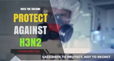 Does the Vaccine Protect Against H3N2? What You Need to Know