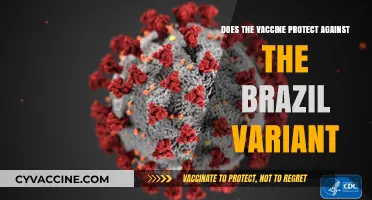 Vaccine Protection: Brazil Variant