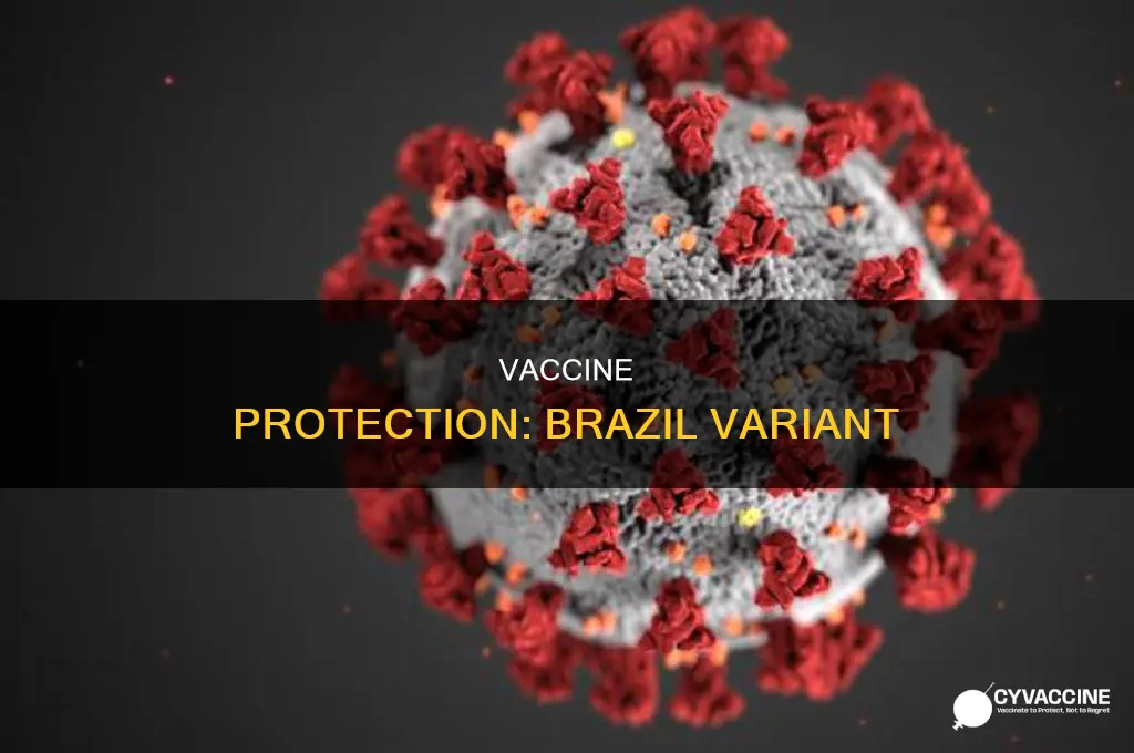 does the vaccine protect against the brazil variant