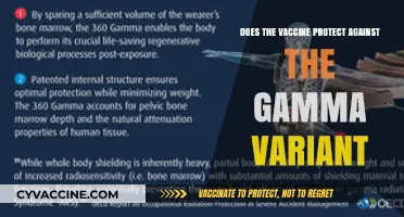 Vaccine Efficacy: Gamma Variant Protection Explored