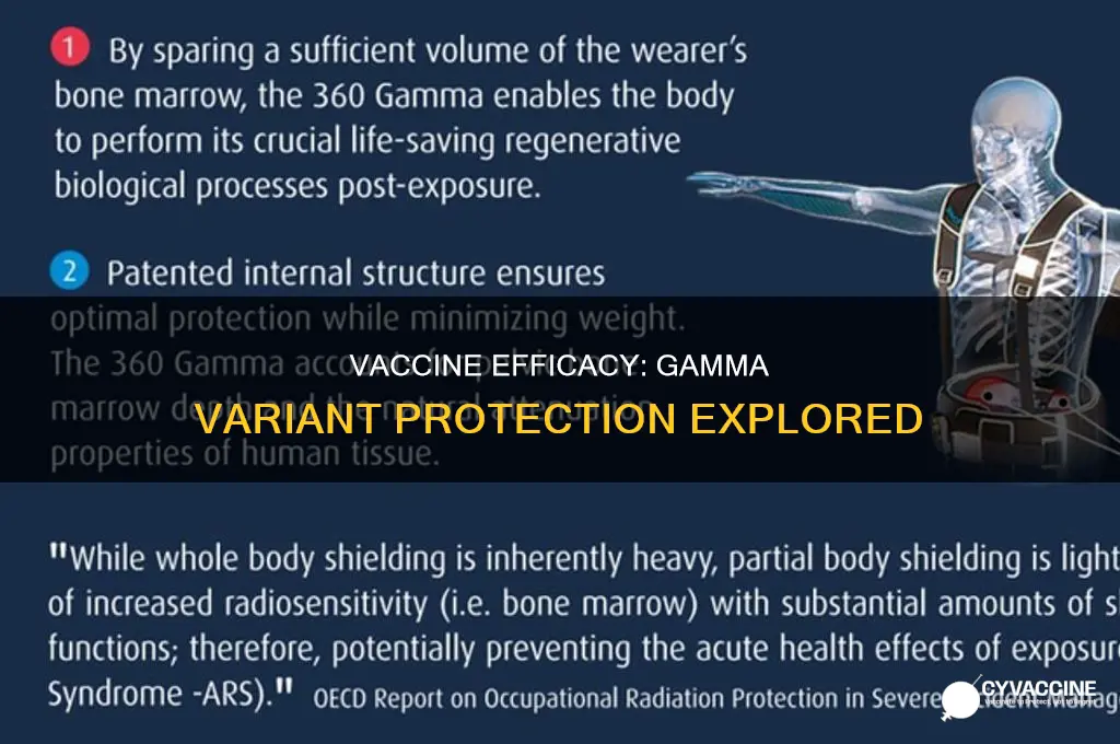 does the vaccine protect against the gamma variant