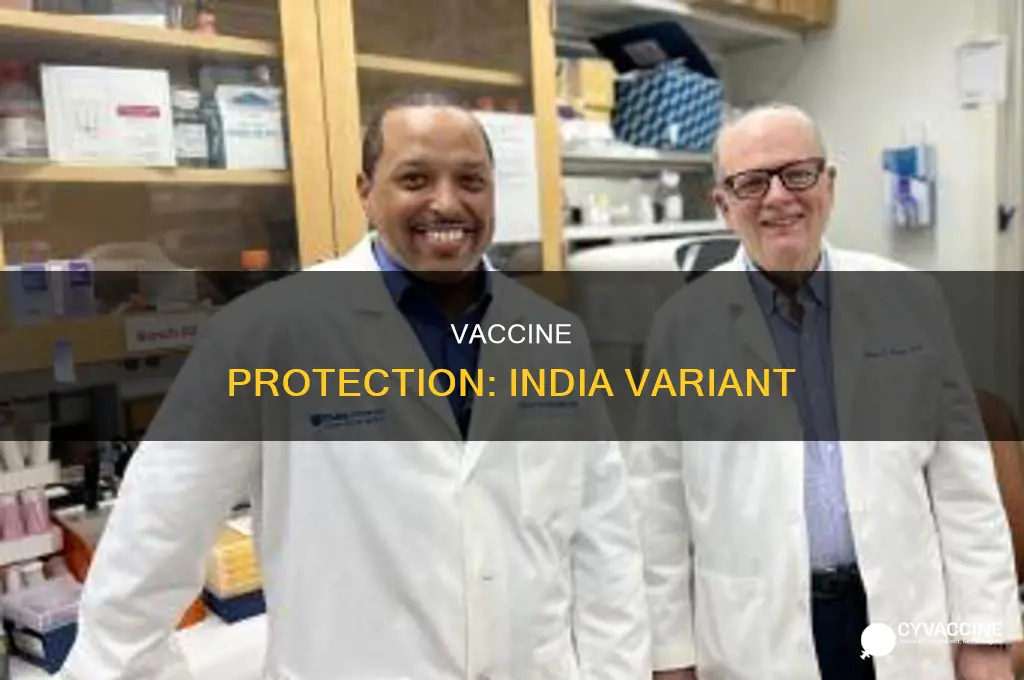 does the vaccine protect against the india variant