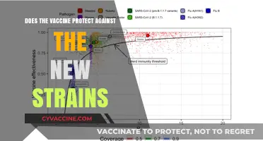 Vaccine Efficacy: New Variants and Our Protection