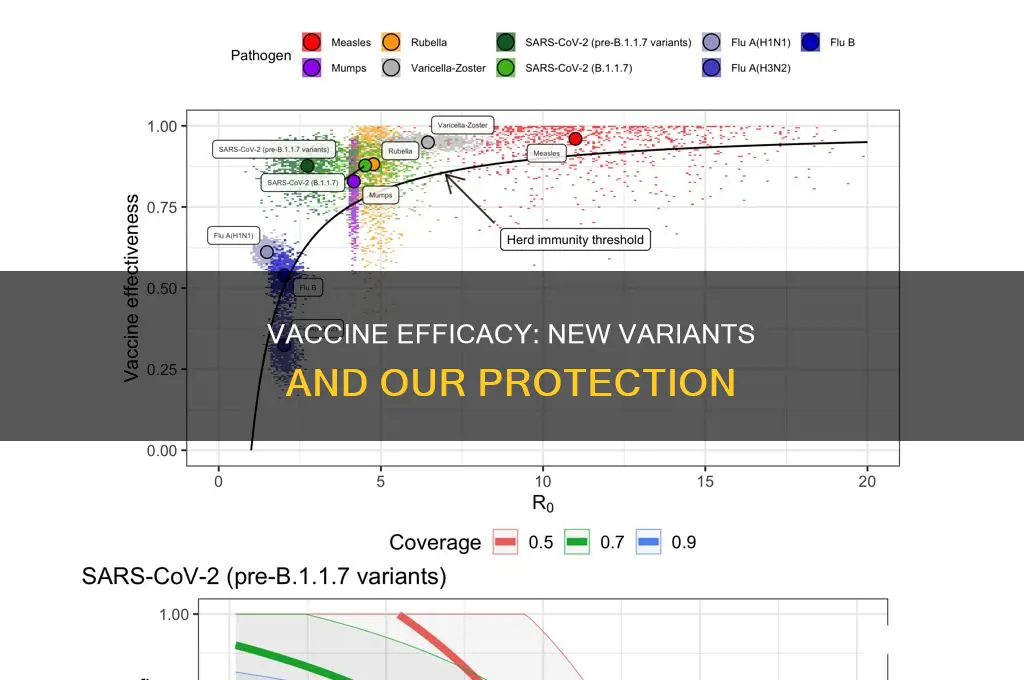 does the vaccine protect against the new strains