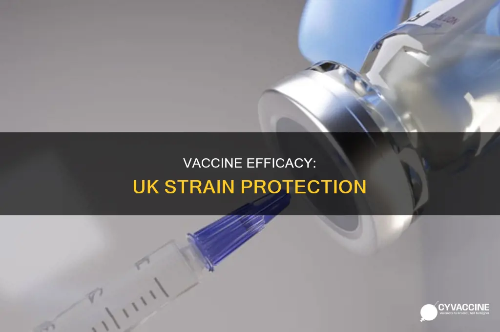 does the vaccine protect against the uk strain