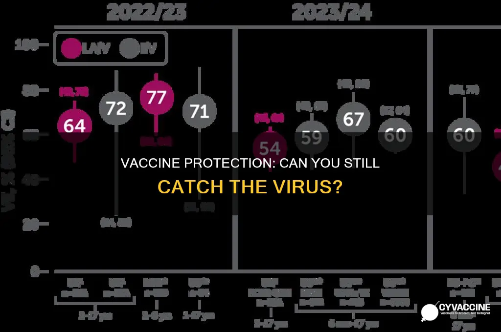 does the vaccine protect you from catching the virus