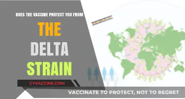 Vaccine Efficacy: Delta Strain Protection Explored
