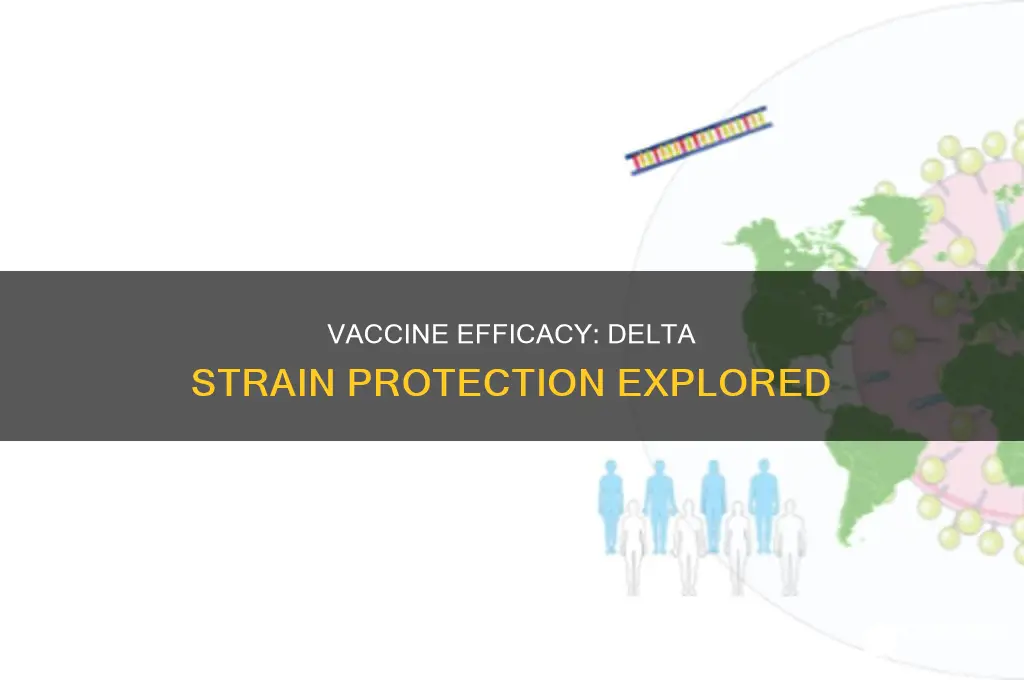 does the vaccine protect you from the delta strain