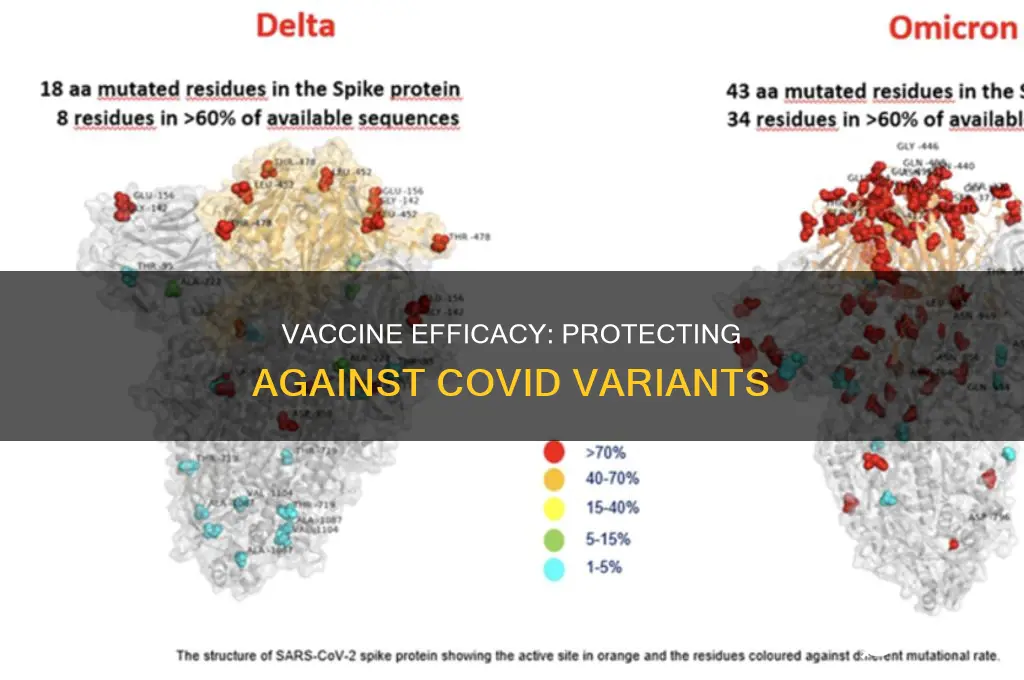 does the vaccine protect you from the variant