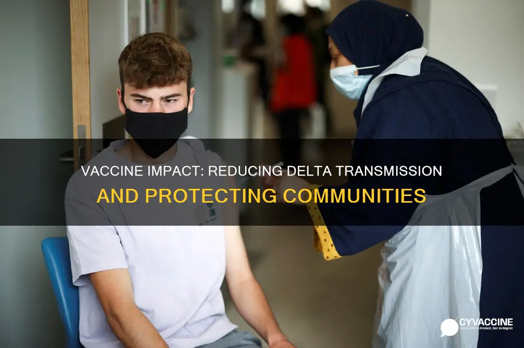 does the vaccine reduce delta transmission