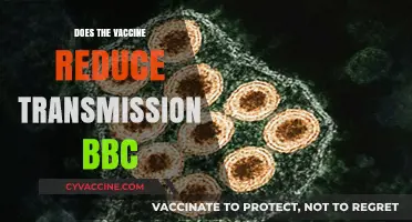 Does the Vaccine Reduce Transmission? BBC Explores the Evidence