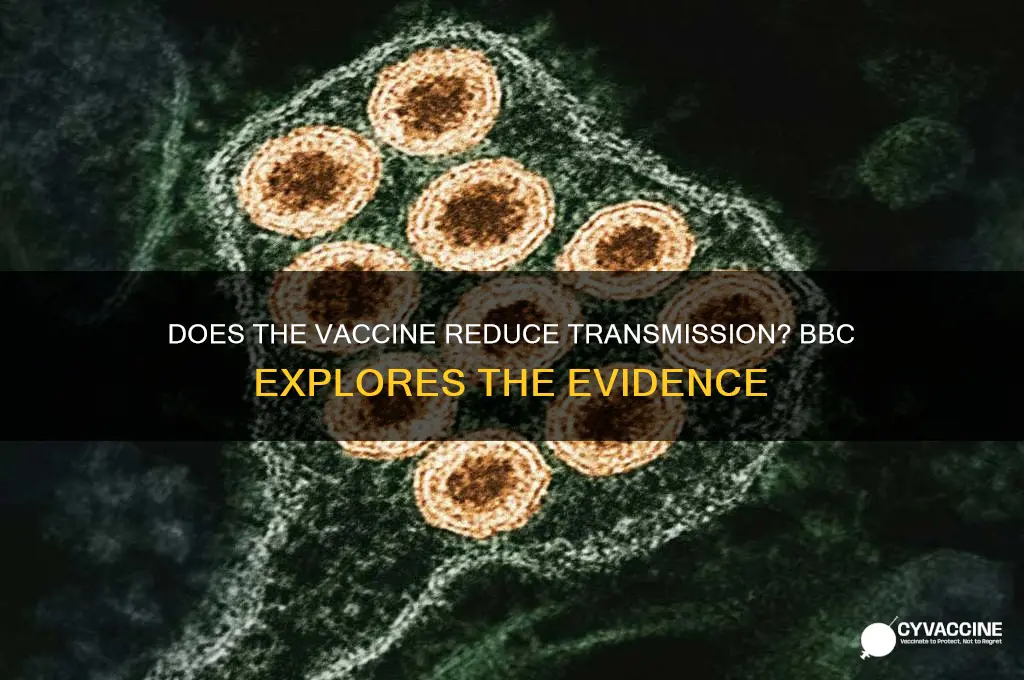 does the vaccine reduce transmission bbc