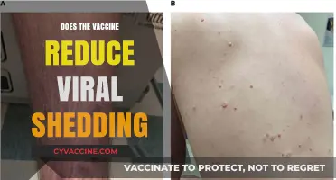 Vaccine Impact: Does It Reduce Viral Shedding in Infected Individuals?