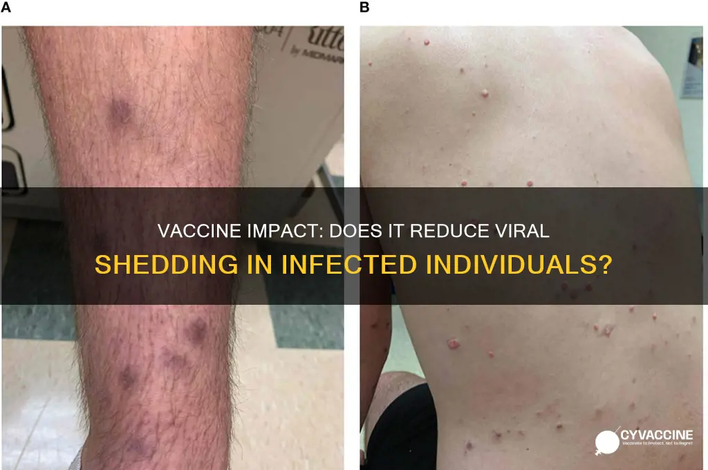 does the vaccine reduce viral shedding