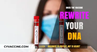 Vaccines and DNA: Separating Fact from Fiction in Genetic Myths