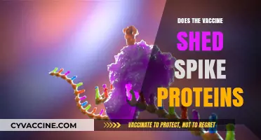 Vaccine Shedding Spike Proteins: Separating Fact from Fiction