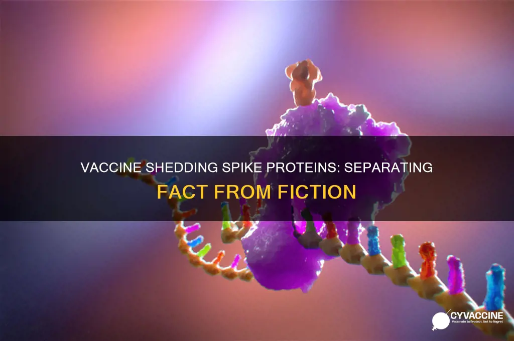 does the vaccine shed spike proteins