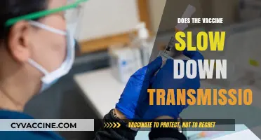 Vaccines and Transmission: Slowing the Spread of COVID-19 Effectively?