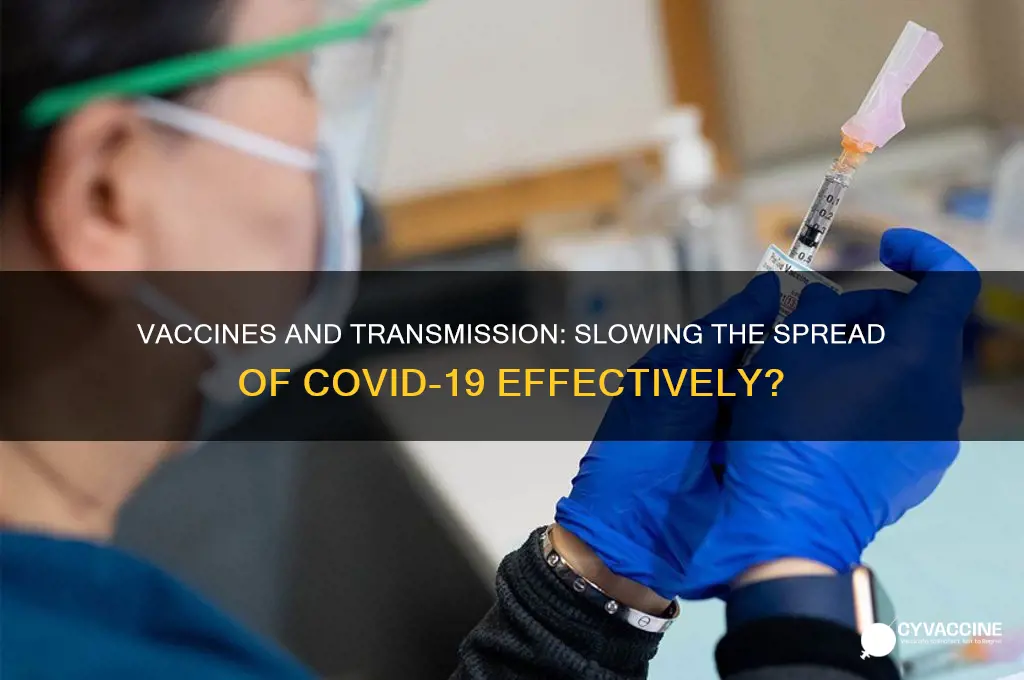 does the vaccine slow down transmission