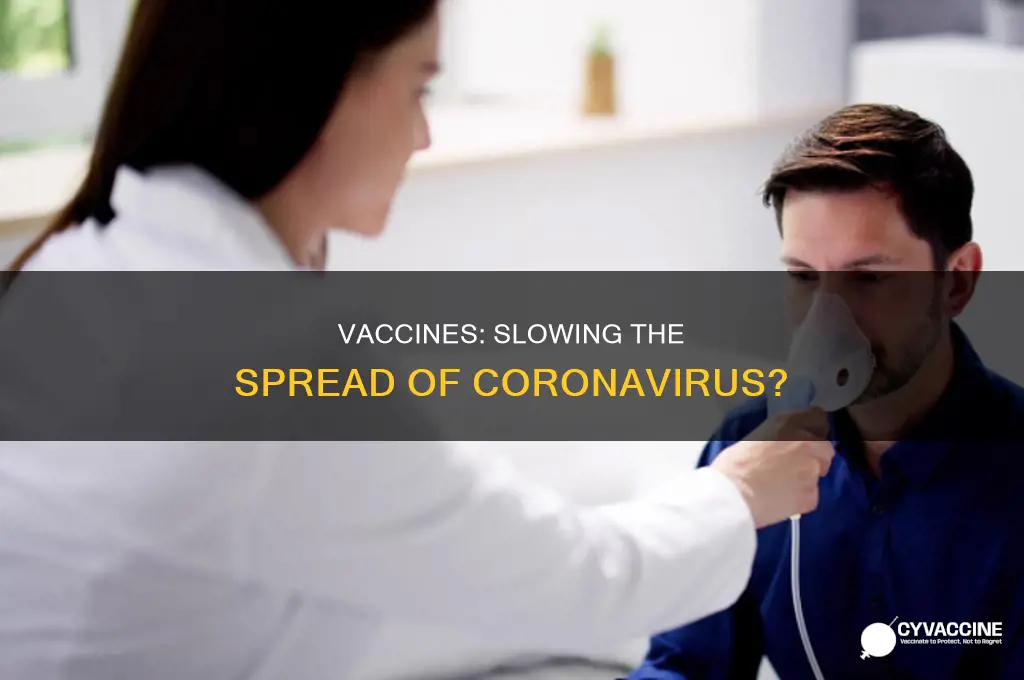 does the vaccine slow the spread of coronavirus