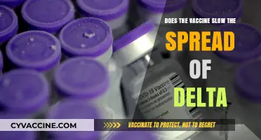 Vaccine Effectiveness Against Delta Variant: What We Know