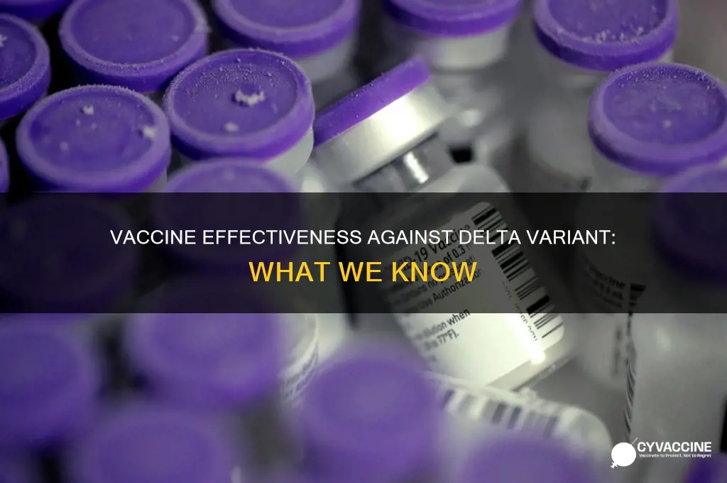 does the vaccine slow the spread of delta