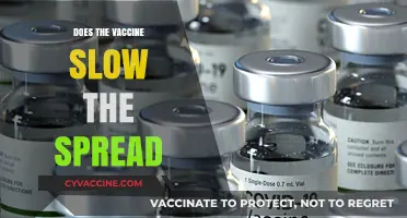 Vaccines and Transmission: Do They Slow the Spread of COVID-19?