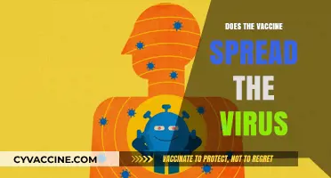 Vaccine Myths Debunked: Does the Vaccine Spread the Virus?