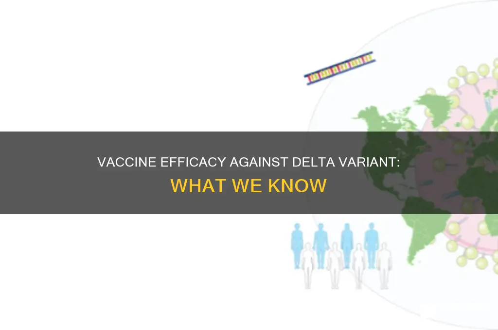 does the vaccine stop spread of delta variant