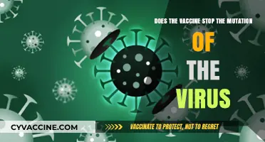 Vaccines and Virus Mutations: What's the Connection?