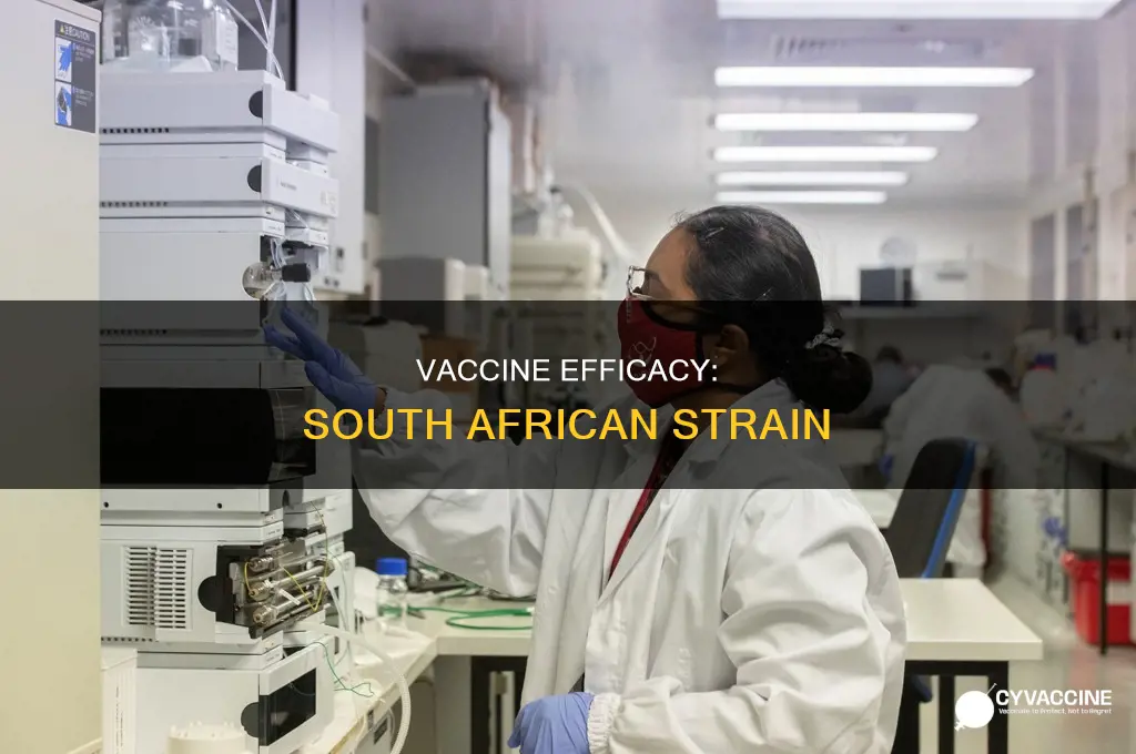 does the vaccine stop the south african strain