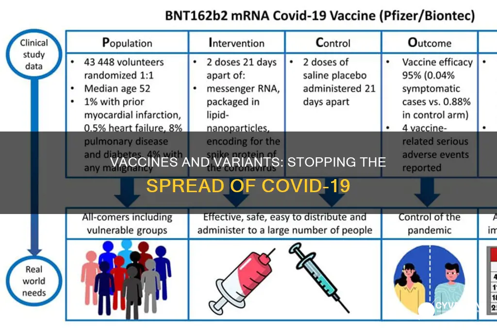 does the vaccine stop the spread of corona