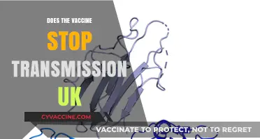 Does the UK Vaccine Halt COVID-19 Transmission? Key Insights