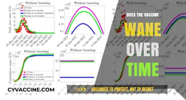 Does Vaccine Immunity Fade? Understanding the Waning Effect Over Time