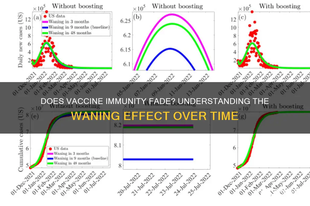 does the vaccine wane over time