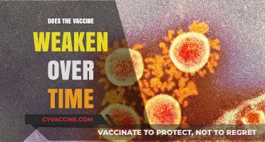 Does Vaccine Immunity Fade? Understanding Long-Term Protection and Booster Needs
