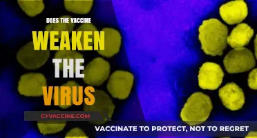 Does Vaccination Weaken Viruses? Understanding Immune Response and Viral Evolution
