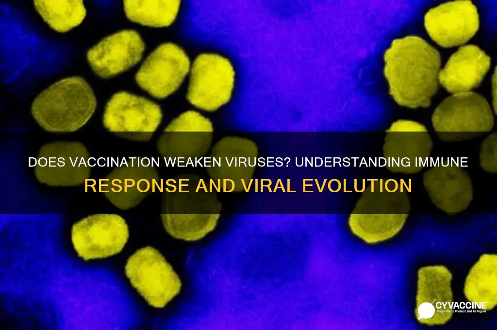does the vaccine weaken the virus