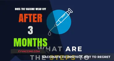 COVID-19 Vaccine Efficacy: Does It Wane Over Time?