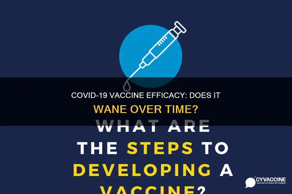 does the vaccine wear off after 3 months